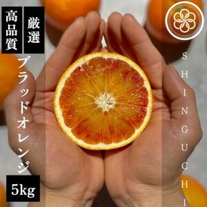 [真っ赤な高級柑橘]新口農園厳選 ブラッドオレンジ 5kg[C70-18]