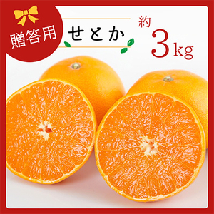 コウ果樹園の「柑橘の大トロ せとか3kg」[C33-1]