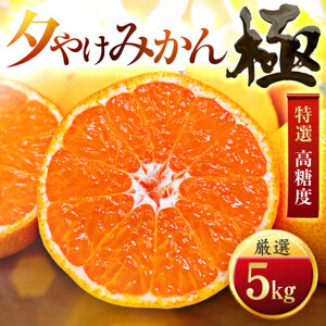 【甘みが濃縮されたみかん】愛媛で育った夕やけみかん【極】5kg【D49-8】【1243461】