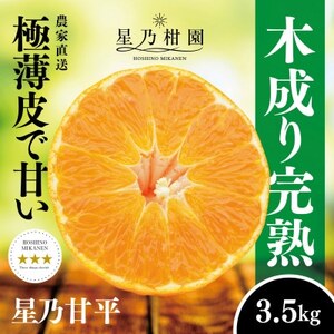 T݂񉀂̐TÕ(3.5kg)yD45-46zy1339329z