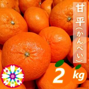 愛咲果樹園 「 甘平 」約2kg[C71-11]