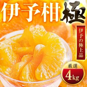 [太陽をたっぷり浴びた]伊予柑[極]4kg[C49-42]
