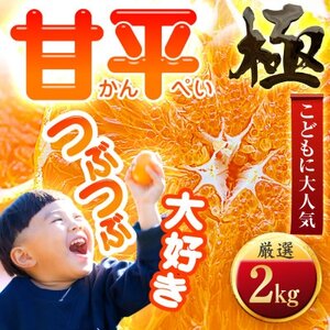 【甘みぎっっしり!】シャキシャキ甘い♪♪【甘平】2kg【C49-63】【1509766】