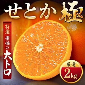 「夕やけブランド」ぷるぷる食感【せとか】2kg【C49-66】_美味しいみかん 美味しいミカン おいしいみかん おいしいミカン 人気のみかん 人気のミカン 国産みかん 国産ミカン 八幡浜みかん 八幡浜ミカン 甘いみかん 甘いミカン あまいみかん アマイミカン 果物みかん くだものみかん 果物ミカン クダモノミカン 美味しいせとか 美味しいセトカ おいしいせとか おいしいセトカ 人気のせとか 人気のセトカ 国産せとか 国産セトカ 八幡浜せとか 八幡浜セトカ 甘いせとか 甘いセトカ あまいせとか アマイセトカ 果物せとか くだものせとか 果物セトカ クダモノセトカ 美味しい柑橘 美味しいカンキツ おいしい柑橘 おいしいカンキツ 人気の柑橘 人気のカンキツ 国産柑橘 国産カンキツ 八幡浜柑橘 八幡浜カンキツ 甘い柑橘 甘いカンキツ あまい柑橘 アマイカンキツ 果物柑橘 くだもの柑橘 果物カンキツ クダモノカンキツ 美味しい愛媛 _【1509769】