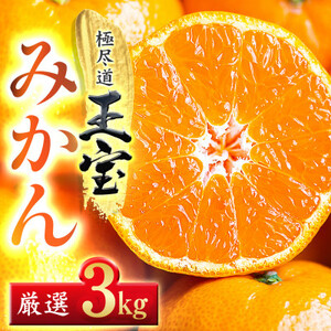 [愛媛名産]玉宝みかん[雫・・小玉] 3kg[C64-29]