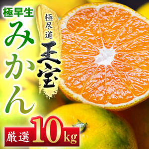 yQYzɑ݂ 10kgyF64-20zy1510675z