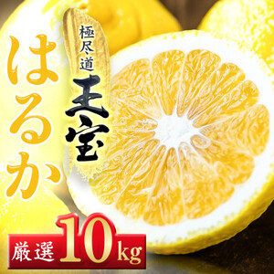 yQYzʕ͂邩@10kgyF64-57zy1511219z