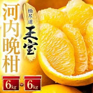 【愛媛名産】玉宝河内晩柑　12kg【F64-54】【1511222】