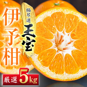 yQYzʕɗ\@5kgyC64-59zy1511355z