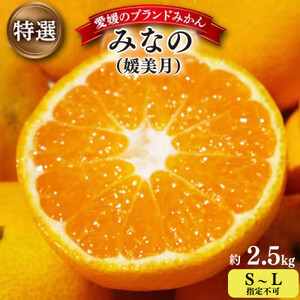 [2025年11月以降発送]みなの共選の特選「みなの(旧:媛美月)」約2.5kg[C28-36]