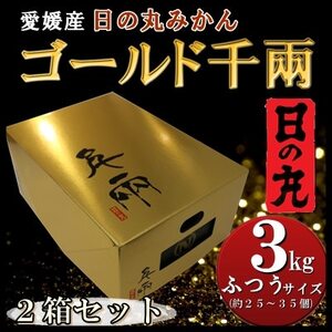 日の丸みかん「ゴールド千兩」3kg サイズLまたはM/約25〜35個/2箱/高糖度[F79-3]