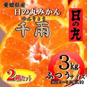 ̊ۂ݂u_v3kg@25`35/LEMTCY/2Zbg/ZT[gpyD79-7zy1452030z