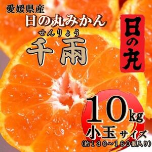 日の丸みかん「千兩」10kg 2S(小玉)サイズ/約130〜160個[D79-10]