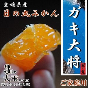 果汁しっかり自然の恵み!「ガキ大将」3kg(大玉サイズ)日の丸みかん/ご家庭用[C79-11]