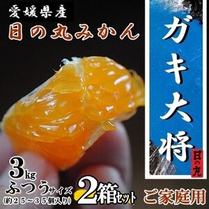 自然の恵み!「ガキ大将」3kg(L/Mサイズ)/日の丸みかん/ご家庭用/2箱セット[C79-15]