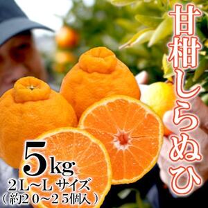 「甘柑しらぬひ」5kg サイズ2LまたはL/約20～25個【C79-25】【1474165】