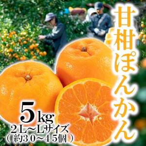 �u�Ê��ۂ񂩂�v5kg/2L�܂���L�T�C�Y/�yC79-22�z�y1474166�z