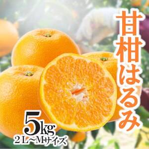 「甘柑はるみ」5kg[C79-24]