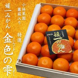 桐箱入り 媛一小玉みかん 金色の雫(こんじきのしずく)24個入り箱×二段重ね[D24-6]