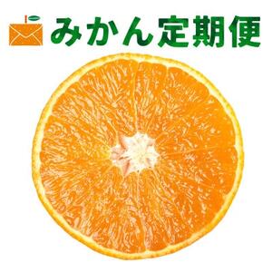 [発送月固定定期便]高級柑橘定期便[H33-42]全3回