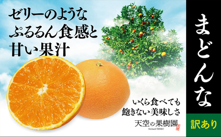 y󂠂zV̉ʎ͂ ܂ǂ(5kg)yD45-33zy1339406z