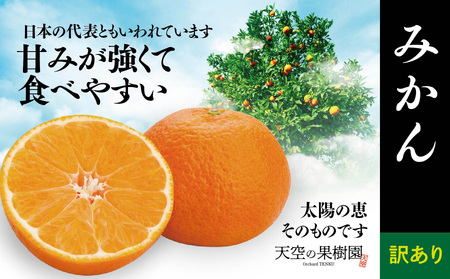 【 訳あり 】 天空 の 果樹園 から届く そら みかん ( 10kg )【C45-28】【1339407】