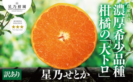 【訳あり】星乃せとか 柑橘の大トロ(3kg)【C45-87】【1535970】