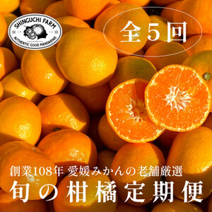 [発送月固定定期便]旬の厳選柑橘をお届け。柑橘定期便[新口農園厳選][H70-43]全5回