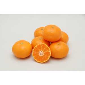 B݂yƒpz3kgyB76-15zy1539504z