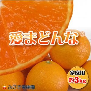 ܂ǂ(ƒp)3kg@12{`{ɏyD21-34zy1538889z