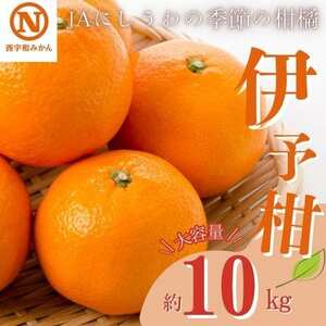 JAɂ̋G߂̊k(ɗ\ 10kg)yE08-7zy1474221z