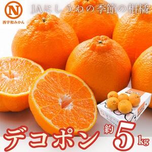 JAにしうわの季節の柑橘(デコポン 約5kg 化粧箱)[F08-8]
