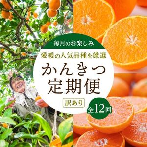 【発送月固定定期便】愛媛の人気品種を厳選!みかん定期便(訳あり)【H25-171】全12回【配送不可地域：離島】【4056289】