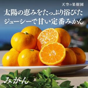 【天空の果樹園】そらみかん (5kg)【C45-68】【1339405】