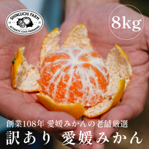 [創業108年]愛媛みかんの老舗[訳あり みかん8kg]新口農園[C70-55]
