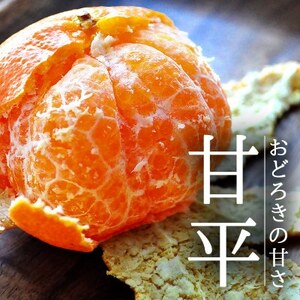 QElYuÕ:3kgvy󂠂zyD48-43zy1450449z