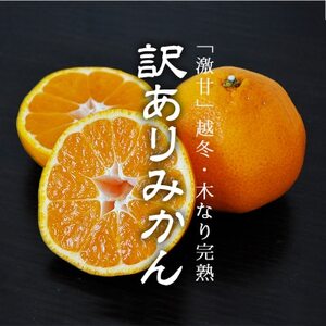 �y1������z���J�n�z�u�z�~�E�؂Ȃ芮�n�E�݂���:6kg�v�y�󂠂�z�yC48-51�z�y1450552�z