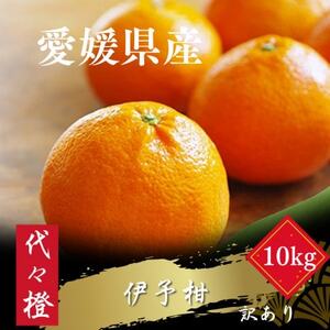 yW[V[ʓzy󂠂zɗ\ 10kgyE83-13zy1549103z