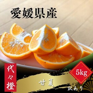 【ほろ苦くて甘酸っぱい】【訳あり】甘夏 5kg【C83-17】【1549107】