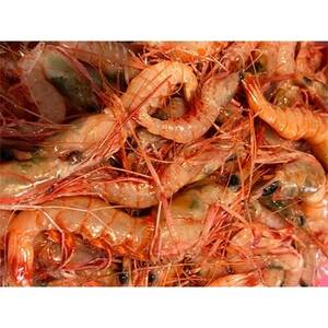 |Y̒nCV(lY)2L!yF22-267zyzsnFzy1083422z