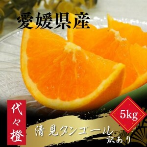 ygbƂƂ낯ʎzy󂠂z^S[ 5kgyC83-16zy1549106z