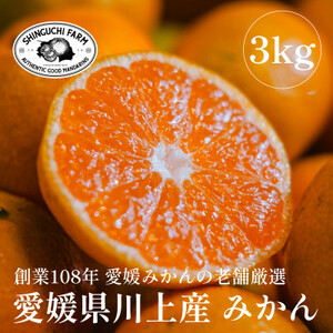愛媛みかんの老舗厳選[愛媛県川上産 みかん 3kg(約30玉)]新口農園[C70-59]