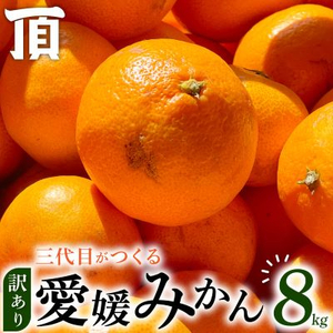 [訳あり(家庭用)]三代目がつくる愛媛みかん 8kg[C31-40]