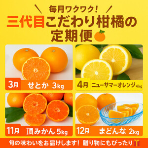 【発送月固定定期便】柑橘【みかん・まどんな・せとか・ニューサマーオレンジ】【H31-46】全4回【4058612】