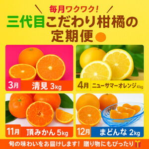 【発送月固定定期便】柑橘【みかん・まどんな・きよみ・ニューサマーオレンジ】【H31-47】全4回【4058614】