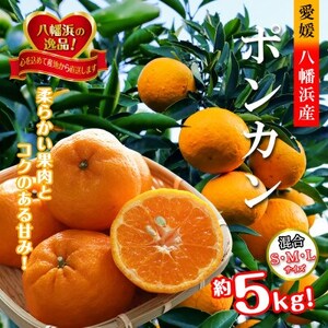 2026年1月出荷開始 爽やかな香り。酸味が少なく甘みの強い「ポンカン」約5kg [C39-38]