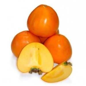 QYxm`(5ʁ`7)Ɗkʏ`100%Xg[gW[X܂3{ZbgyC35-4zy1492234z