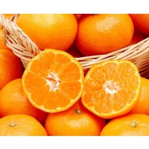 QlY Q݂10kg()yF35-9zyzsnFEkCEꌧzy1492245z