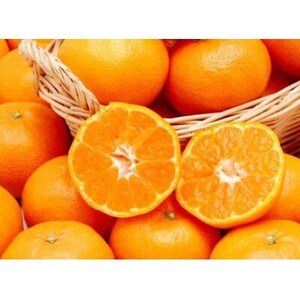 QlYQ݂5kg()yC35-7zyzsnFEkCEꌧzy1492247z