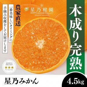 【三つ星ブランド】星乃みかん(4.5kg)【B45-90】【1582444】